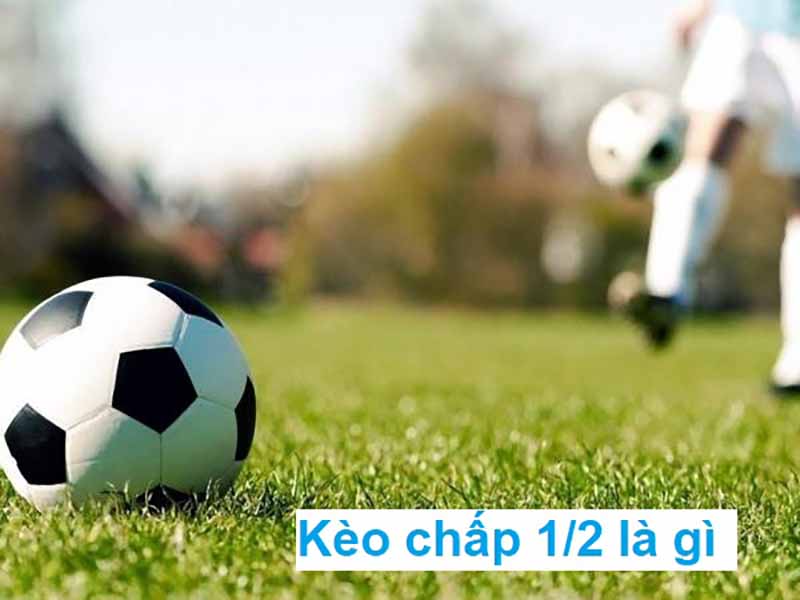 Kèo chấp 1/2 là gì? Hướng dẫn chơi kèo chấp 1/2 cho người mới