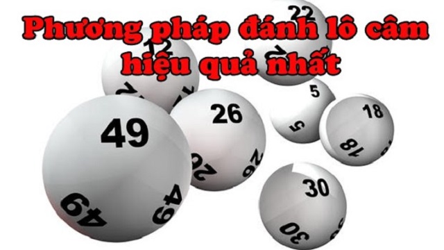 Học cách đánh lô gan theo đầu số Học cách đánh lô gan theo đầu số