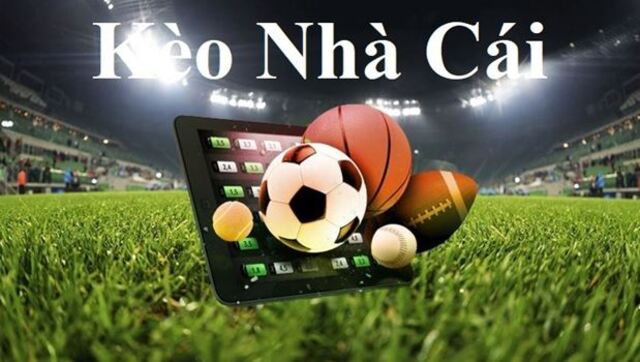 Tỷ lệ bóng đá hôm nay kèo nhà cái là thuật ngữ được rất nhiều cược thủ quan tâm Tỷ lệ bóng đá hôm nay kèo nhà cái là thuật ngữ được rất nhiều cược thủ quan tâm