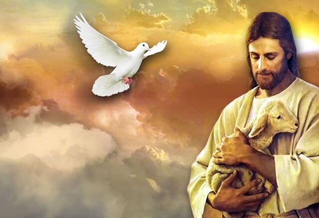 Mộng thấy chúa Jesus thả chim bồ câu là điềm gì