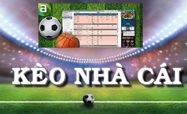 Yếu tố then chốt trong các cược bóng đá chính là nhận định kèo nhà cái bóng đá Yếu tố then chốt trong các cược bóng đá chính là nhận định kèo nhà cái bóng đá