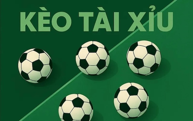 Các bước cơ bản để đánh kèo tài xỉu hiệu quả Các bước cơ bản để đánh kèo tài xỉu hiệu quả