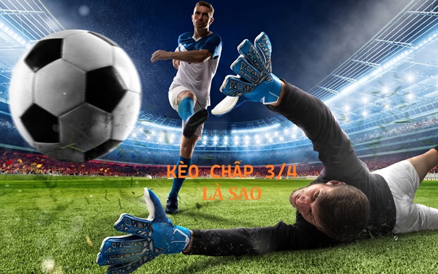 Định nghĩa đúng câu hỏi chấp 3/4 trái là sao? Định nghĩa đúng câu hỏi chấp 3/4 trái là sao?